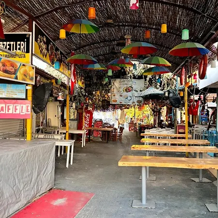 Tatil Evi Ankara Evi Bademli (Dikili)