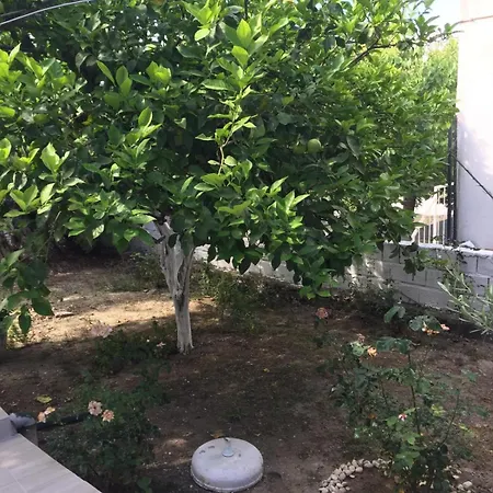 Ankara Evi Hébergement de vacances Bademli (Dikili)